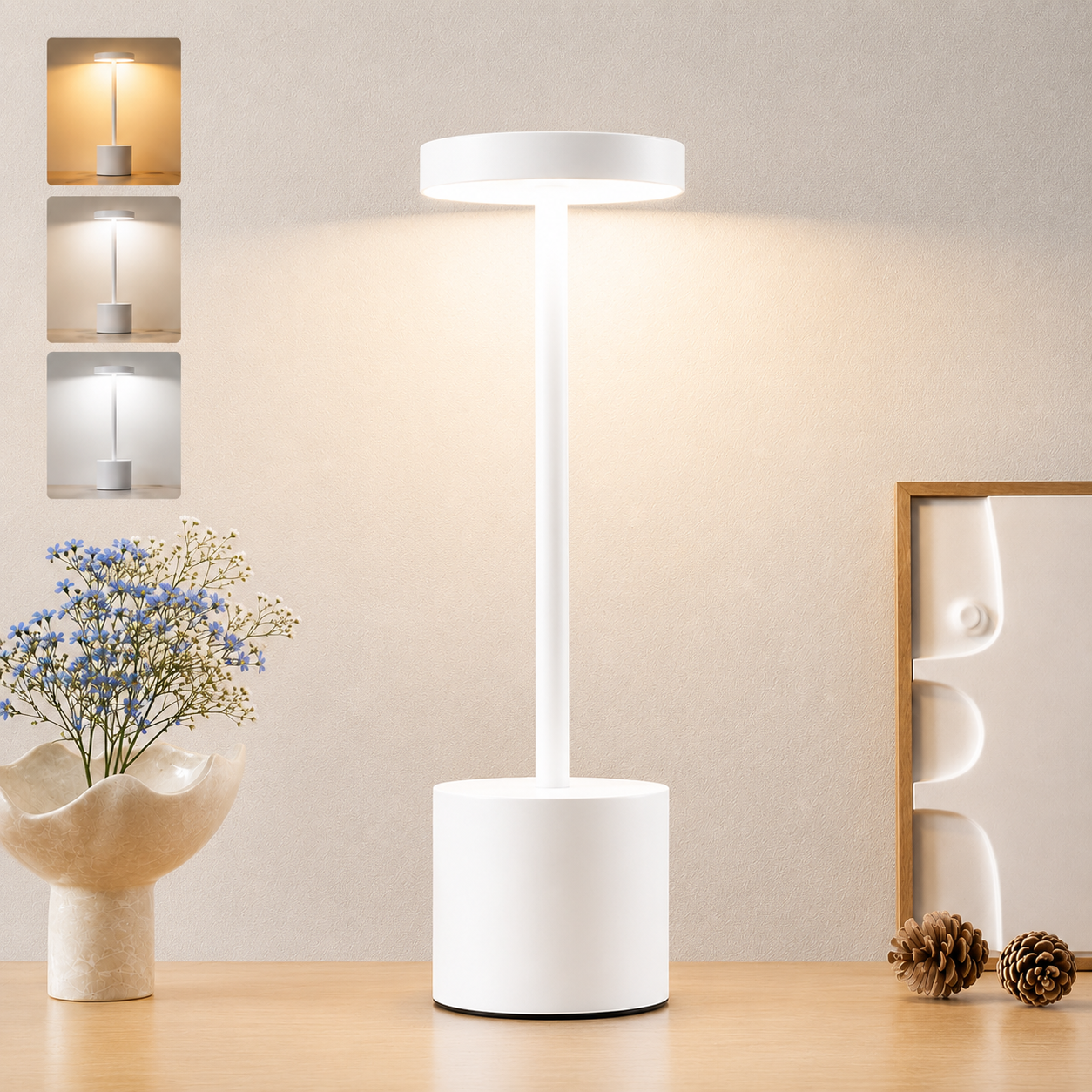 Wireless Table Lamp - Touch Lamp with 3 Light Modes